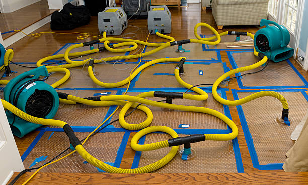 Professional Burst Pipe Water Damage technician working in Rossville, MD